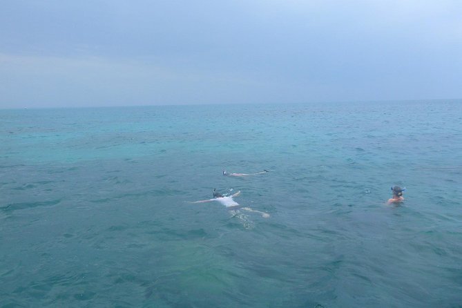 Kwale Island Dhow Sailing Tour from Zanzibar with Seafood Lunch - Fumba Blue Lagoon snorkeling: mangroves, clear green water, and a lighter stop