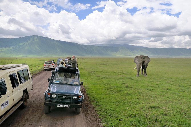 Lake Manyara National Park Full-Day Tour from Arusha - Game Drive Expectations: Giraffes, Buffalo, and the Elephants Factor