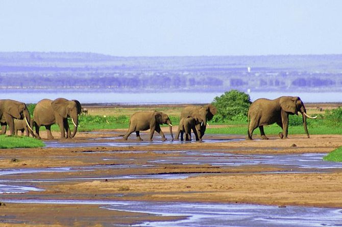 Lake Manyara National Park Full-Day Tour from Arusha - Lunch, Water, and Wine: How to Stay Pleasant in the Field