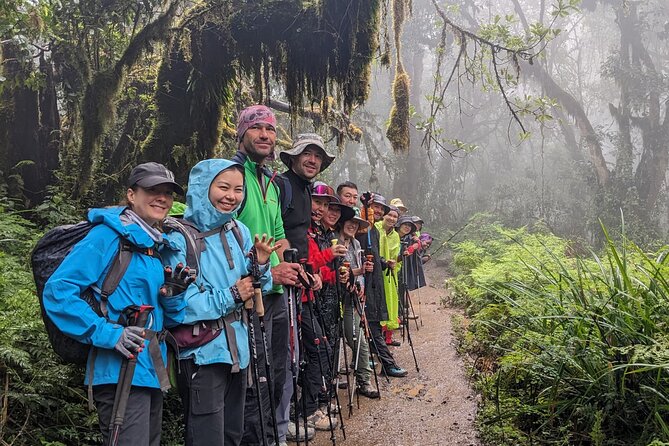 Lemosho Route 7 Days Trekking at Mount Kilimanjaro - Why the Lemosho Route fits a real 7-day Kilimanjaro goal