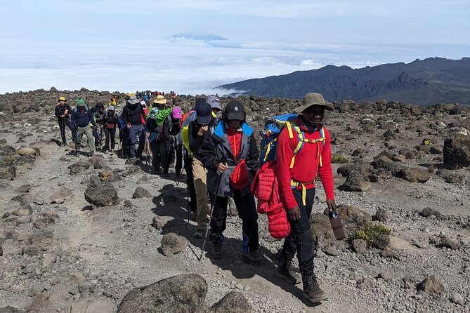 Lemosho Route 7 Days Trekking at Mount Kilimanjaro - The Barranco Wall to Karanga, then Barafu: when your body learns the new altitude
