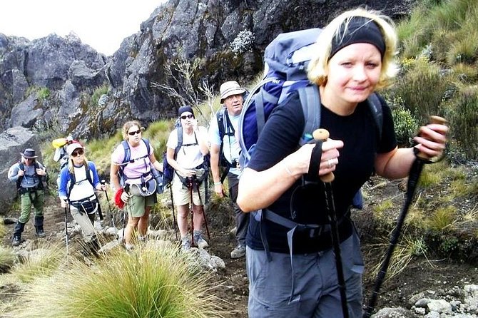 Lemosho Route 8 Days 7 Nights/Kilimanjaro Climb - Why the 8-day Lemosho route is a smarter match for your body