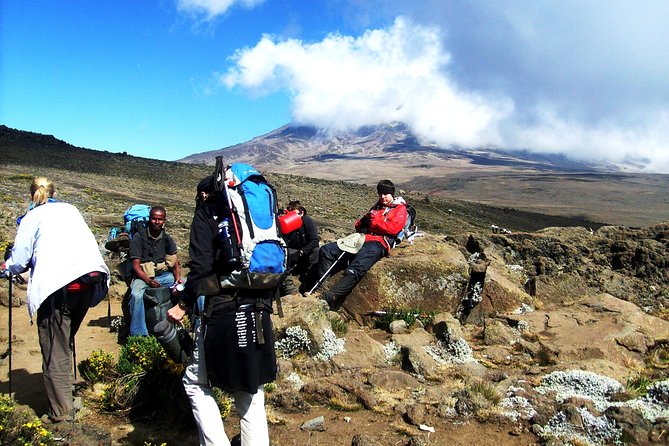 Lemosho Route 8 Days 7 Nights/Kilimanjaro Climb - Day 1: Moshi to the Kilimanjaro National Park gate, rainforest nerves and muddy feet