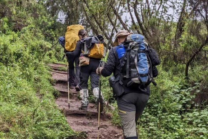 Lemosho Route 8 Days Kilimanjaro Climbing Tour - Key Things I’d Focus On Before You Go