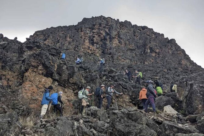Lemosho Route 8 Days Kilimanjaro Climbing Tour - Day 4 and Day 5: Alpine Desert to Karanga, Plus the Barranco Wall Moment
