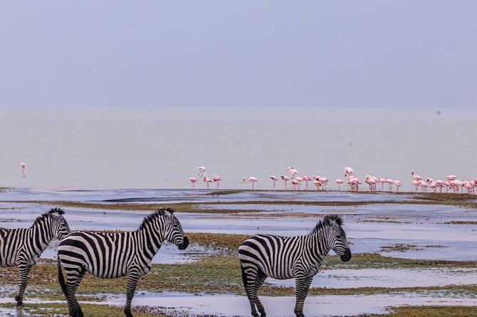 Leopard Luxury Safari in Tanzania - Arusha arrival at Gran Melia, then straight into safari mode