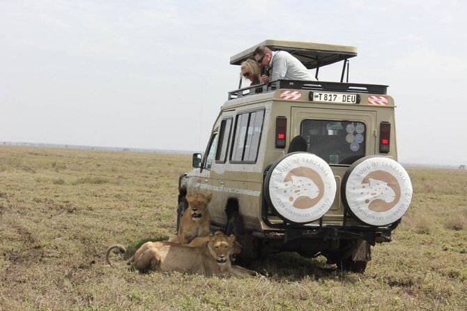 Living Among Lions - Key things that make this safari different