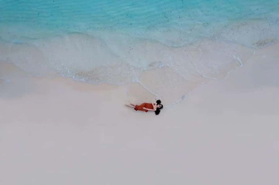 Lunch Break, Mnemba Tour, Swim with Turtles, Kendwa Beach - Price and value, what $180 buys you
