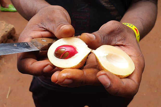 Luxury Spice Tour With Lunch - Why Zanzibar is called the Spice Island