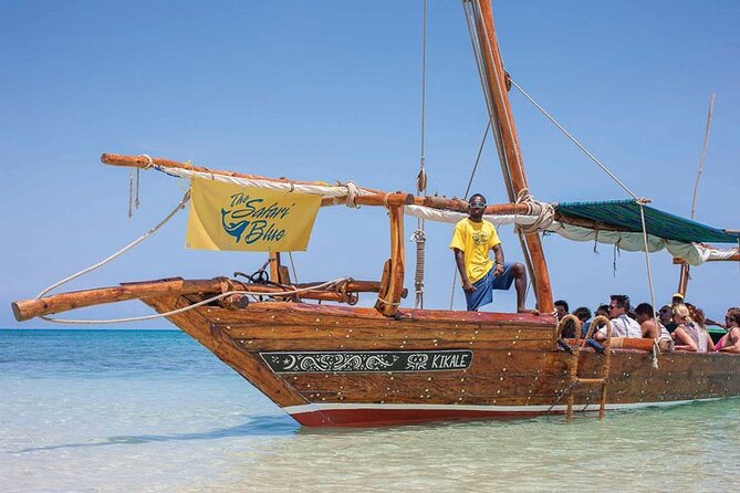 Luxury Swimming with DOLPHINS IN MNEMBA and LUNCH - Key Highlights to Know Before You Go