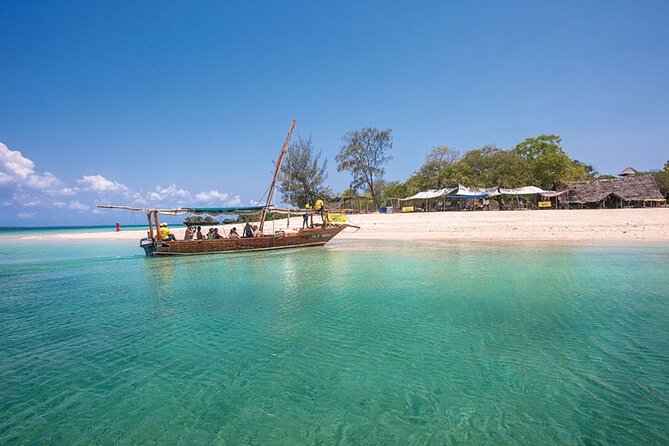 Luxury Swimming with DOLPHINS IN MNEMBA and LUNCH - The Motorized Water Taxi Ride: Dolphin Search in Real Time