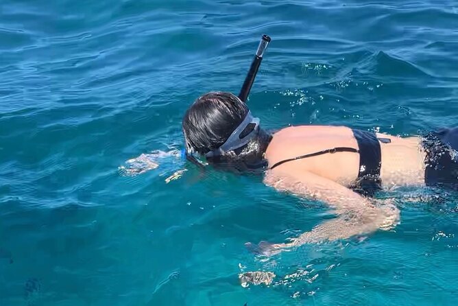 Luxury Swimming with DOLPHINS IN MNEMBA and LUNCH - Snorkeling Time With Included Gear: What You Get and How to Make It Count