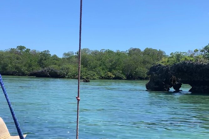 Luxury Swimming with DOLPHINS IN MNEMBA and LUNCH - Sandbank Break for Photos, Tropical Fruit, and Beach Time