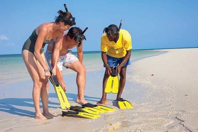 Luxury Swimming with DOLPHINS IN MNEMBA and LUNCH - Zanzibar City Pickup Windows and How to Plan Your Morning
