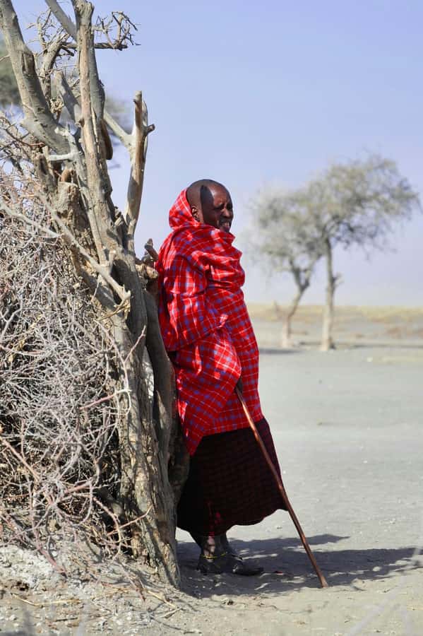 Maasai Boma Cultural Experience (maasai village tour) - Adumu jumping dance: strength, pride, and how to join