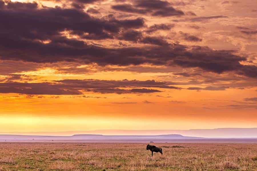 Maasai, Mikumi NP & Chizua Falls 3 Days From Dar es salaam - Chizua Waterfalls day: the hike, the reward, and what to prepare for