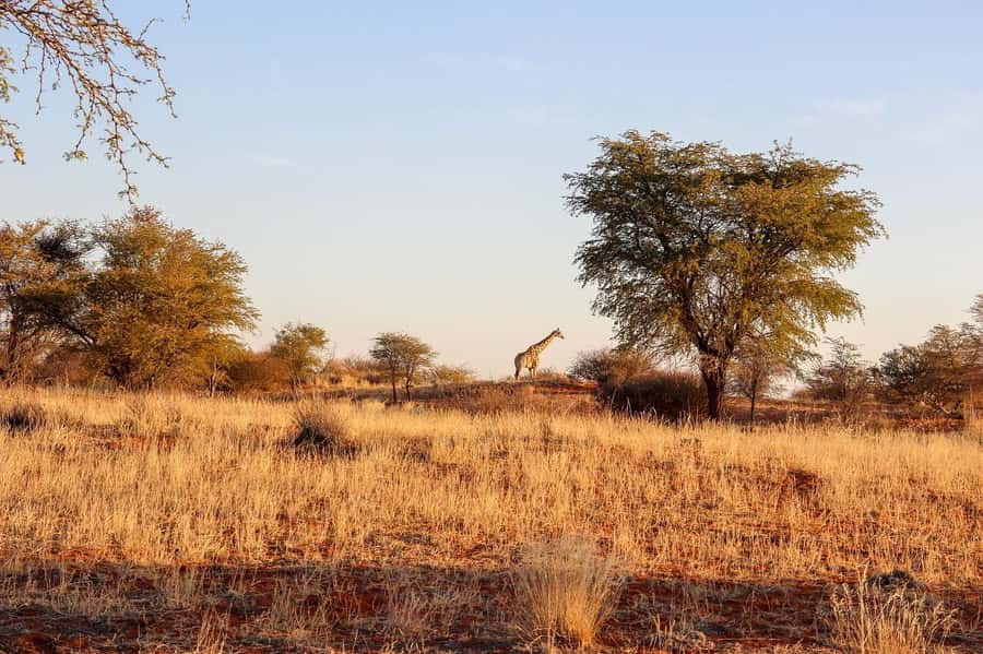 Maasai, Mikumi NP & Chizua Falls 3 Days From Dar es salaam - Logistics that can make or break your comfort