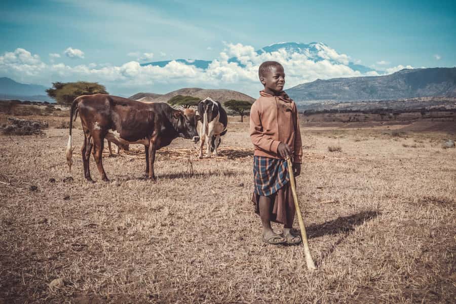 Maasai village visit and chemka hot-springs with hot lunch - Who this day trip suits best