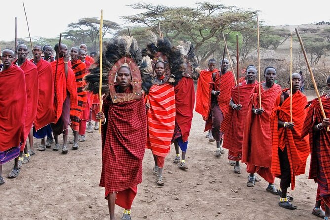 Maasai village visit, Materuni waterfalls & coffee experience - Materuni Waterfalls: The 80 Meter Moment