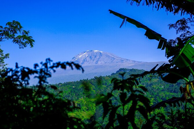 Maasai village visit, Materuni waterfalls & coffee experience - Transportation Time Adds Up, So Pack Smart