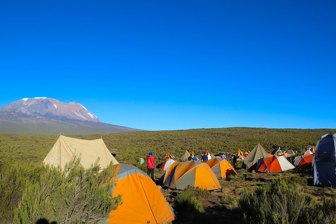 machame route - Key Points That Make This Machame Climb Worth Your Time