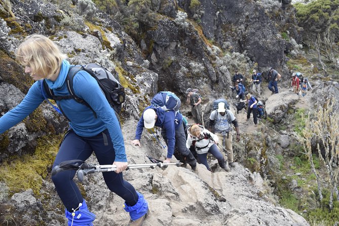 Machame Route 6 days 5 Nights/Kilimanjaro Climb - Why the Machame route’s pacing feels smarter than the shorter plans
