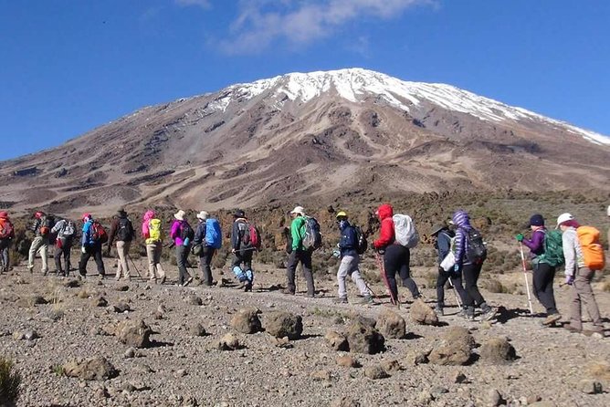 Machame Route 6 days 5 Nights/Kilimanjaro Climb - Private guides and crew support: the difference between tough and miserable