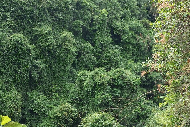 machame route - The Descent: Mweka-Linked Downhill and Why It Still Counts