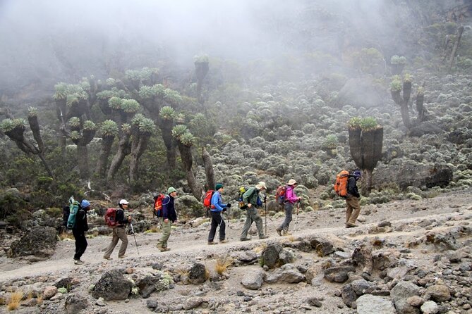 Machame Route 7-Day Private Kilimanjaro Trek - Price and value: what $2,209 includes (and why it’s not just the hiking)
