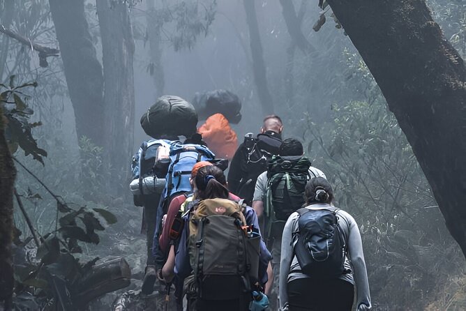 Machame Route 7-Day Private Kilimanjaro Trek - Getting ready in Moshi: pre-briefing and the two-night buffer