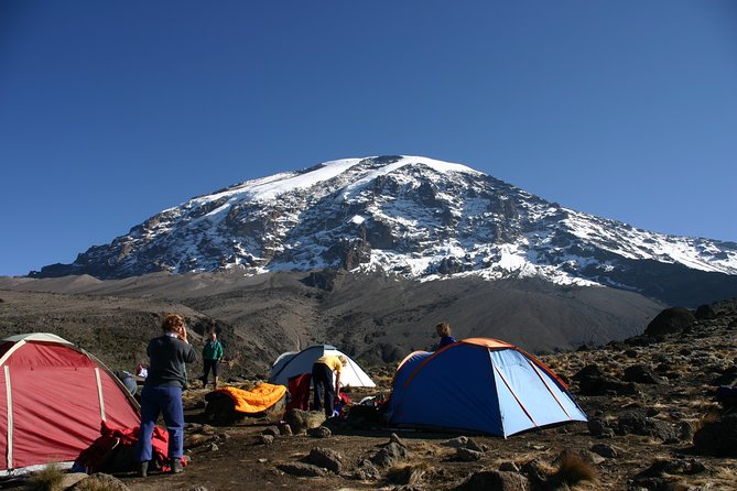 Machame Route 7 Days 6 Nights /Kilimanjaro Climb - Key things to know before you hike