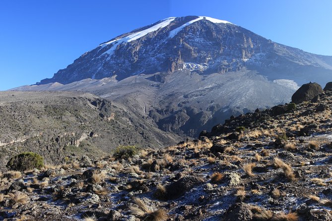 Machame Route 7 Days 6 Nights /Kilimanjaro Climb - Fitness reality check: moderate fitness, serious altitude