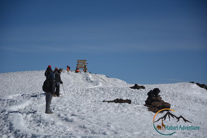 machame route - Habari Adventure’s Small-Group Setup in Practice