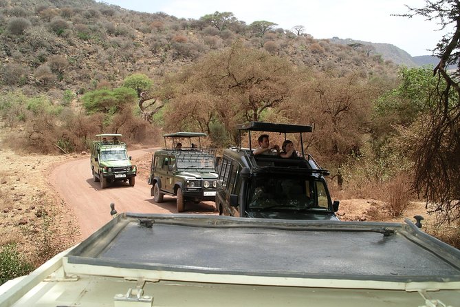 Manyara and Ngorongoro Crater - Why Ngorongoro and Manyara make a smart 2-day pairing