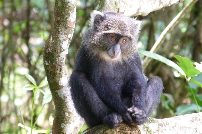 Manyara and Ngorongoro Crater - What the pacing really means for you