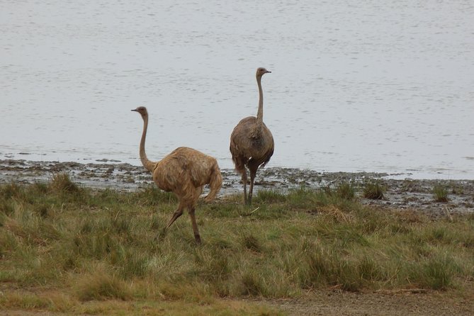 Manyara and Ngorongoro Crater - Value for $870: what you are paying for, and what you are not