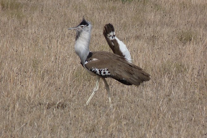 Manyara and Ngorongoro Crater - FAQ