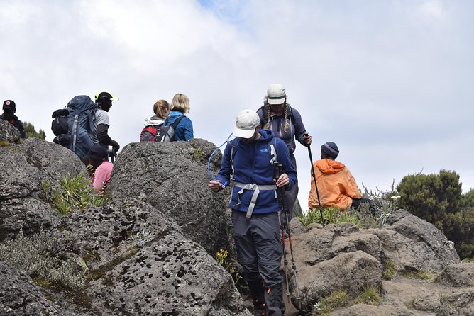 Marangu Route 6 Days 5 Nights/Kilimanjaro Climb - Final descent to the gate: Mandara Hut at 2,700m and back through rainforest