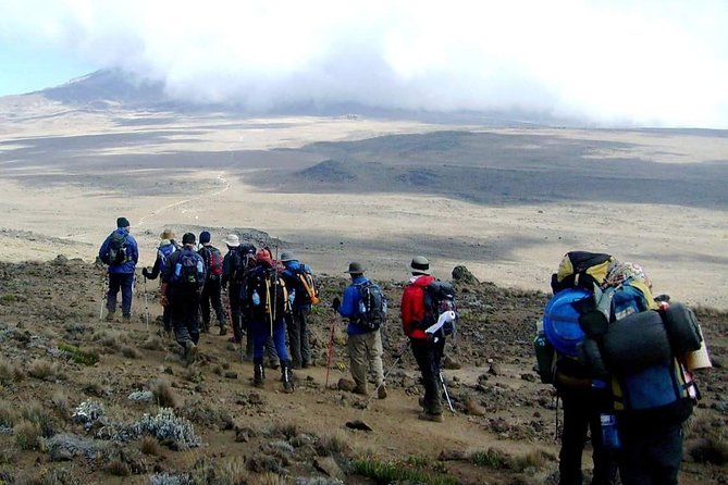 Marangu Route 6 Days 5 Nights/Kilimanjaro Climb - Horombo Hut at 3,700m: the day you notice the altitude shift
