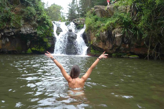 Marangu waterfall & Coffee making Cultural Tour | BURIGI CHATO SAFARIS CO LTD - From Arusha at 8:00, how the day moves near Kilimanjaro