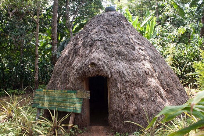 Marangu waterfall & Coffee making Cultural Tour | BURIGI CHATO SAFARIS CO LTD - Lunch, banana beer, and what to expect from the food stop