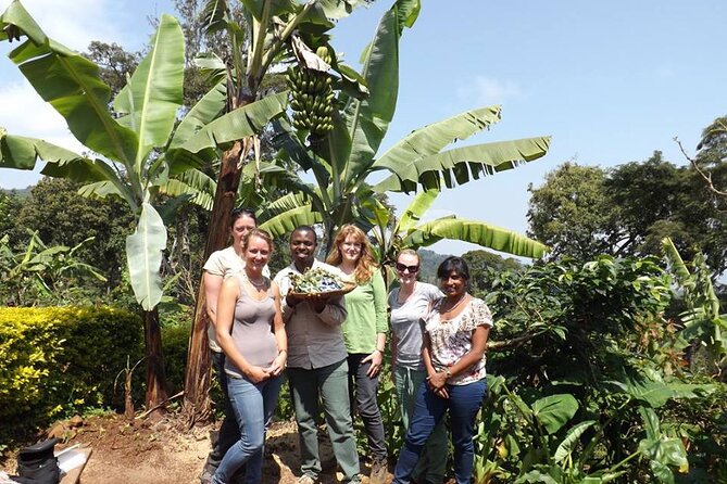 Marangu waterfall & Coffee making Cultural Tour | BURIGI CHATO SAFARIS CO LTD - FAQ
