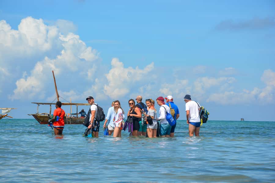 Matemwe: Mnemba Island Dolphin & Snorkeling Boat Trip - Comfort and Who It Suits Best