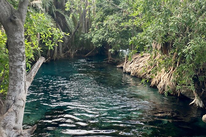 Materuni (Coffee Tour) and Chemka (Kikuletwa Tour) - Two parks of your own day: waterfalls, coffee, and Chemka