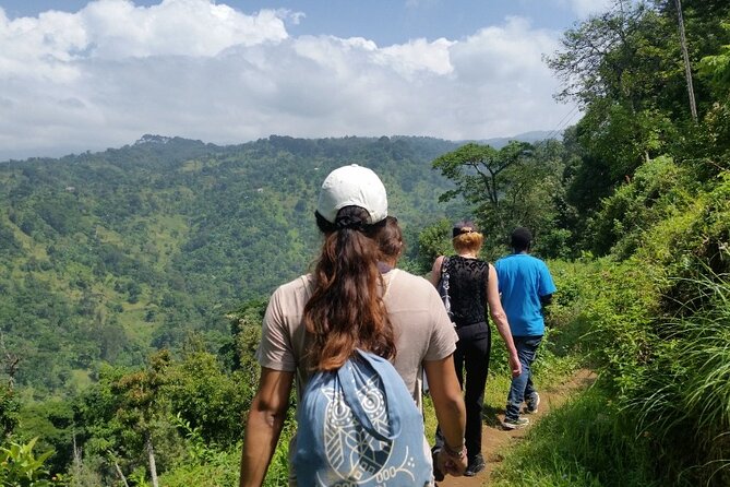 Materuni Thundering Waterfalls,Coffee Experience with Moshi Town Tour - Key highlights to know before you go