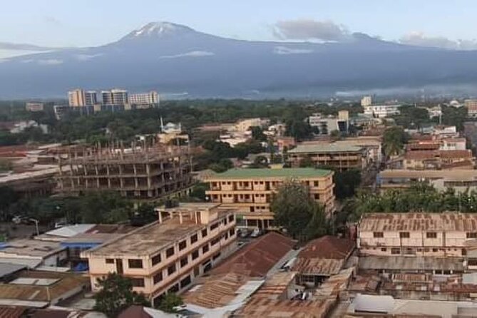 Materuni Thundering Waterfalls,Coffee Experience with Moshi Town Tour - Price and value: what $60 covers, and what it does not