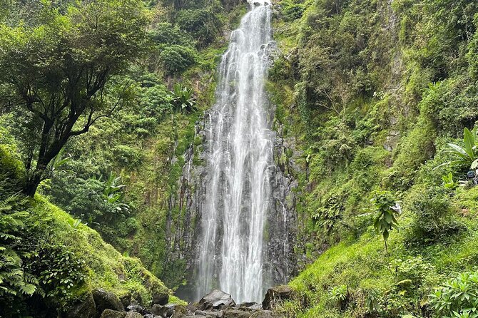 Materuni Waterfall and Coffee Plantation Half Day Tour - Key highlights you will feel right away