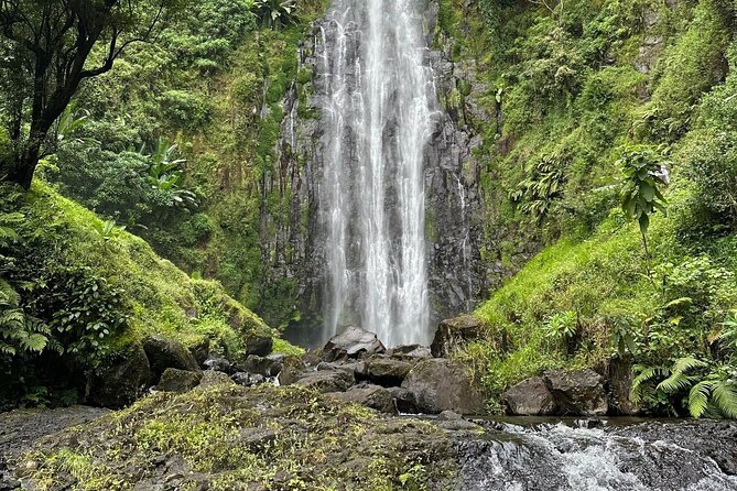 Materuni Waterfall and Coffee Plantation Half Day Tour - The Moshi to Materuni ride: quick, local, and often surprisingly scenic