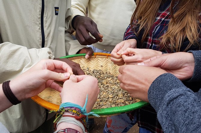 Materuni Waterfall and Coffee tour, Tanzania - Moshi Pickup and Meeting Your Guide in Real Village Territory