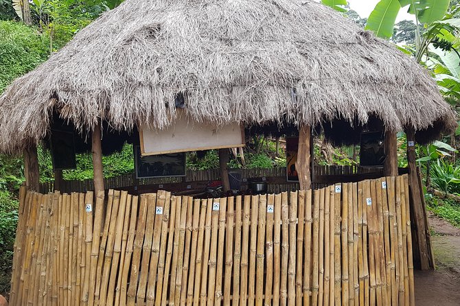 Materuni Waterfall and Coffee tour, Tanzania - Price, Value, and Whether This Is the Right Fit for You